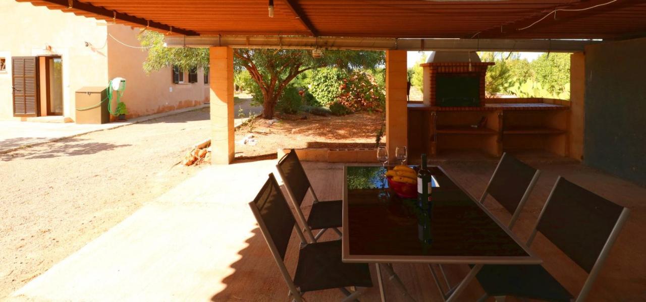 Olivaret Campos (Mallorca)